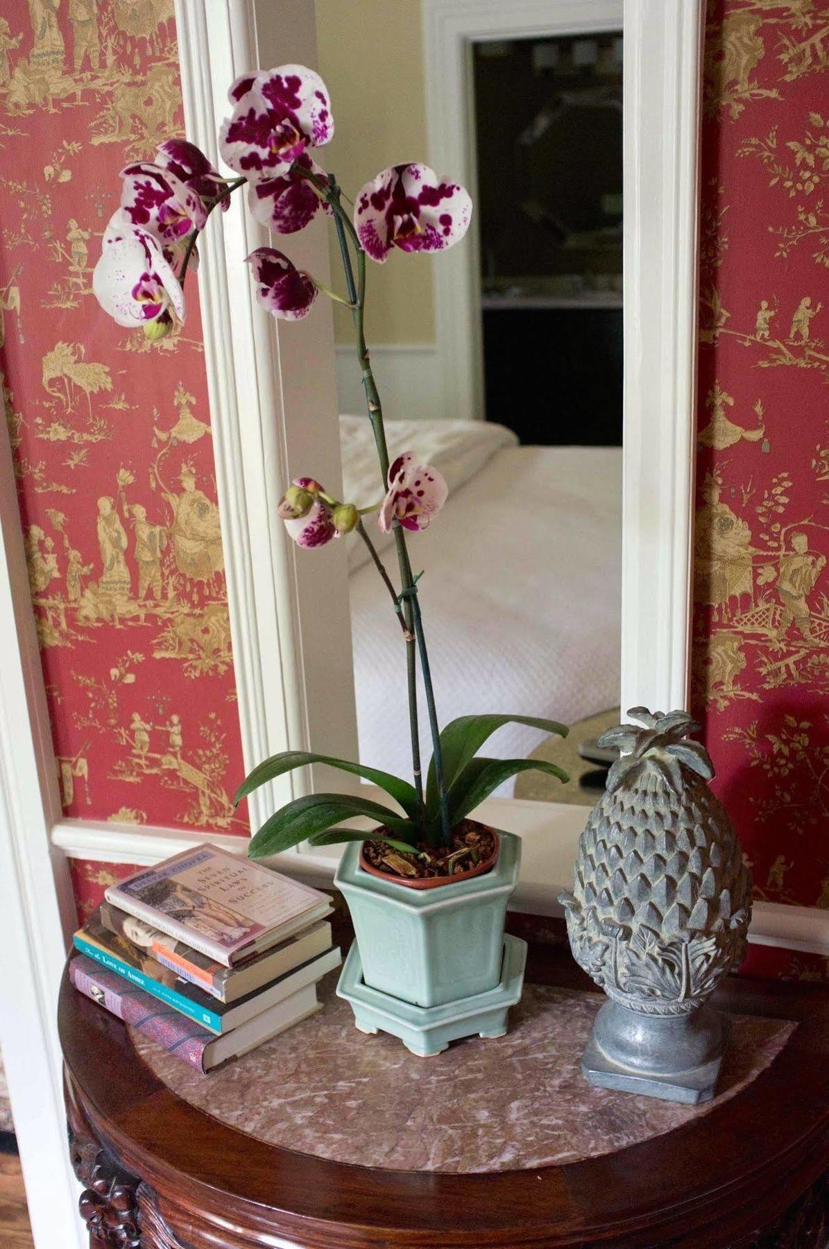 Embrace Calistoga Bed & Breakfast Ngoại thất bức ảnh